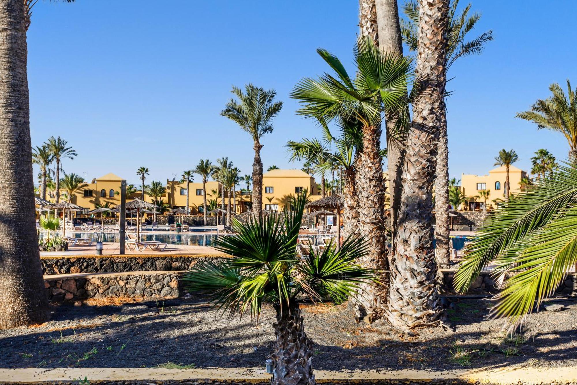 Apartamento Papagayo 科拉雷侯 外观 照片